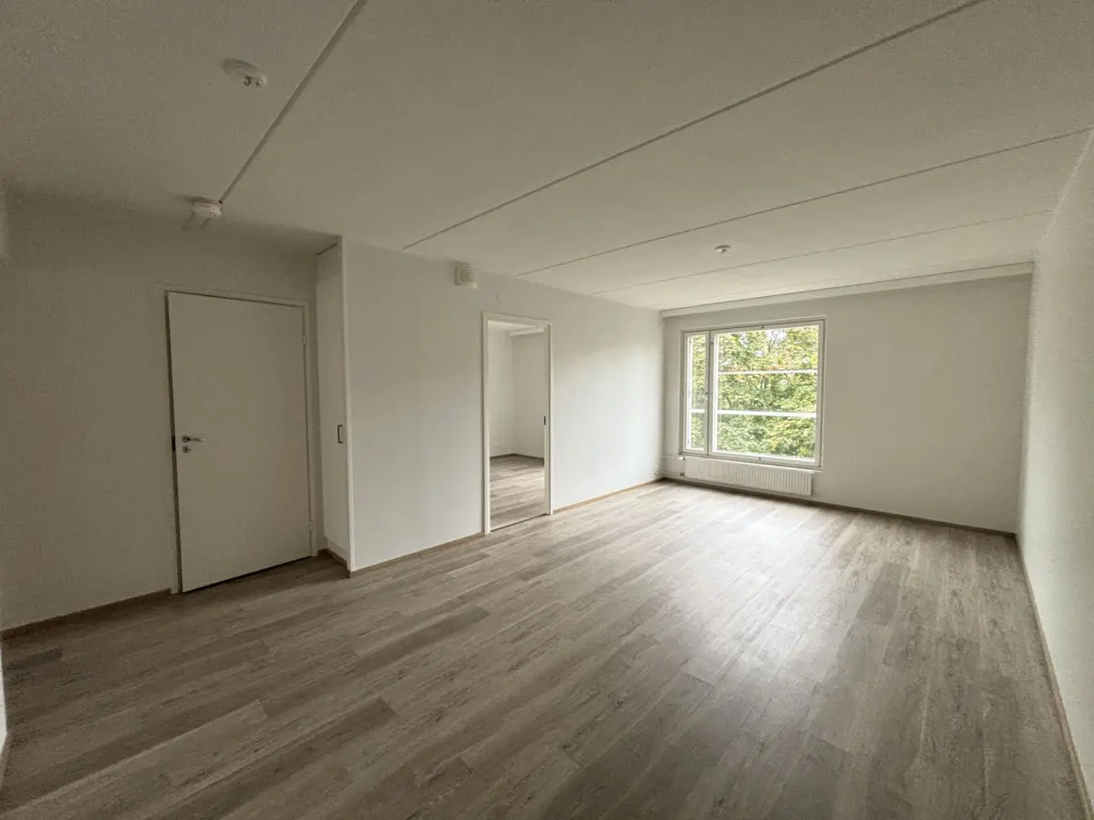 Pohjakuva helsinki/ruoholahti/selkamerenkatu-12/398-14686