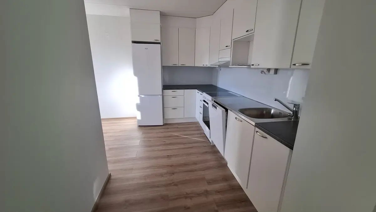 Pohjakuva helsinki/roihuvuori/tulisuontie-5/881-16659