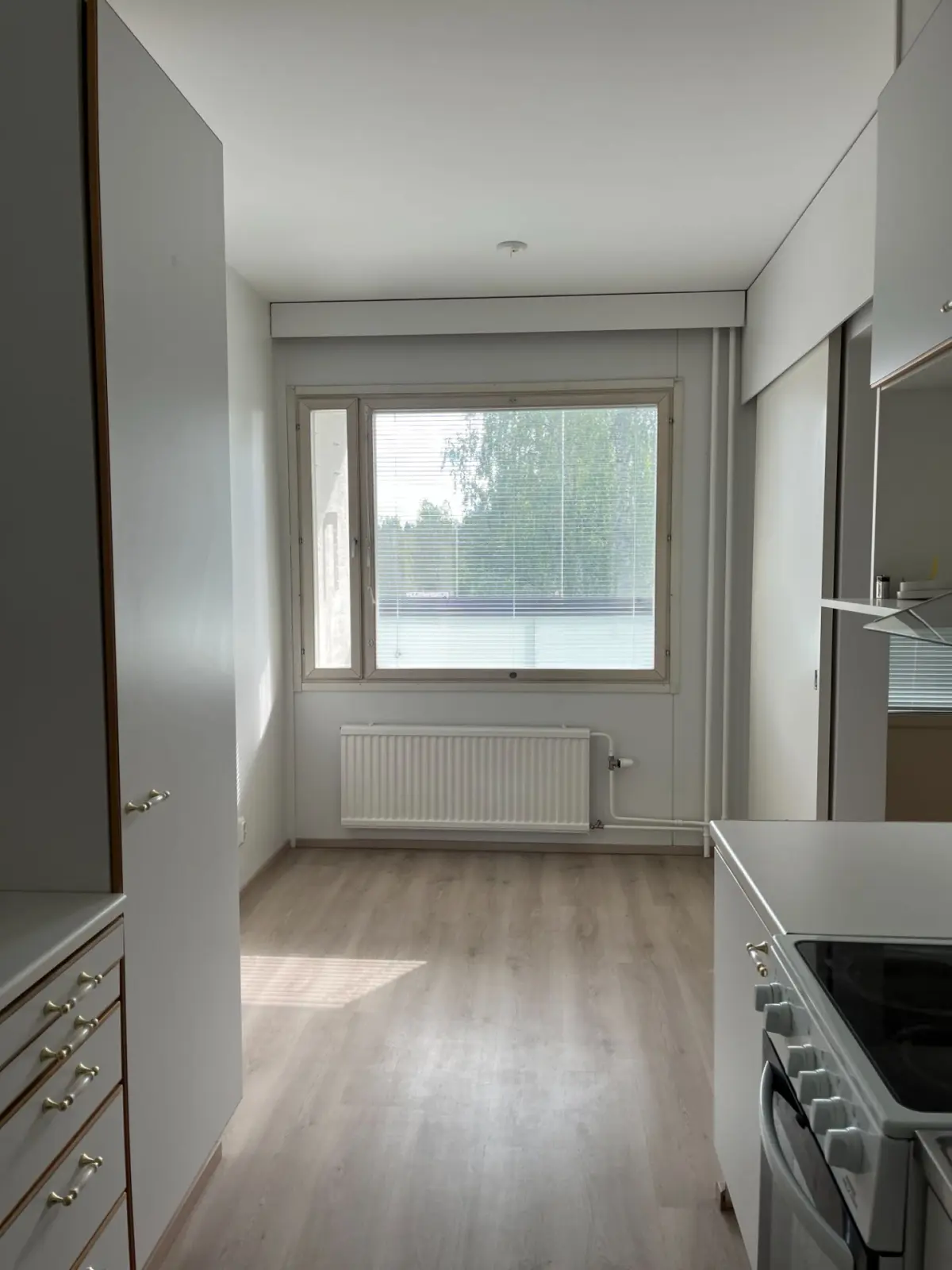 Pohjakuva jarvenpaa/jamppa/naavatie-8-wartsilankatu-47/1872-19074