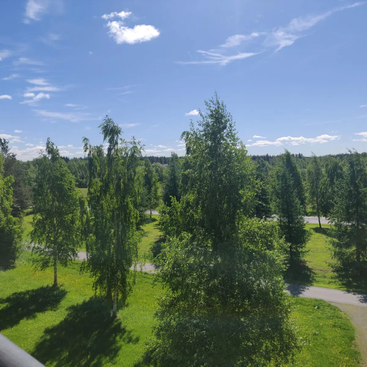 Pohjakuva oulu/kaakkuri/pesatie-4/2463-11553