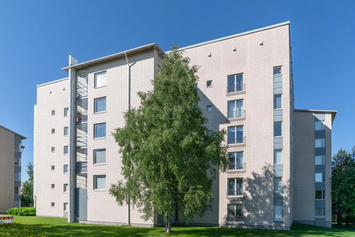 Pohjakuva