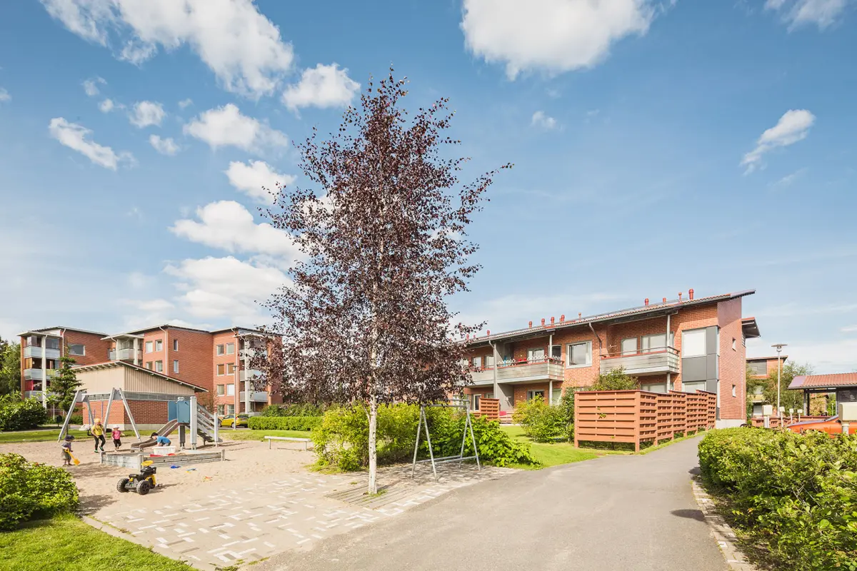Pohjakuva oulu/kaakkuri/sulkakuja-3-7/2461-15324