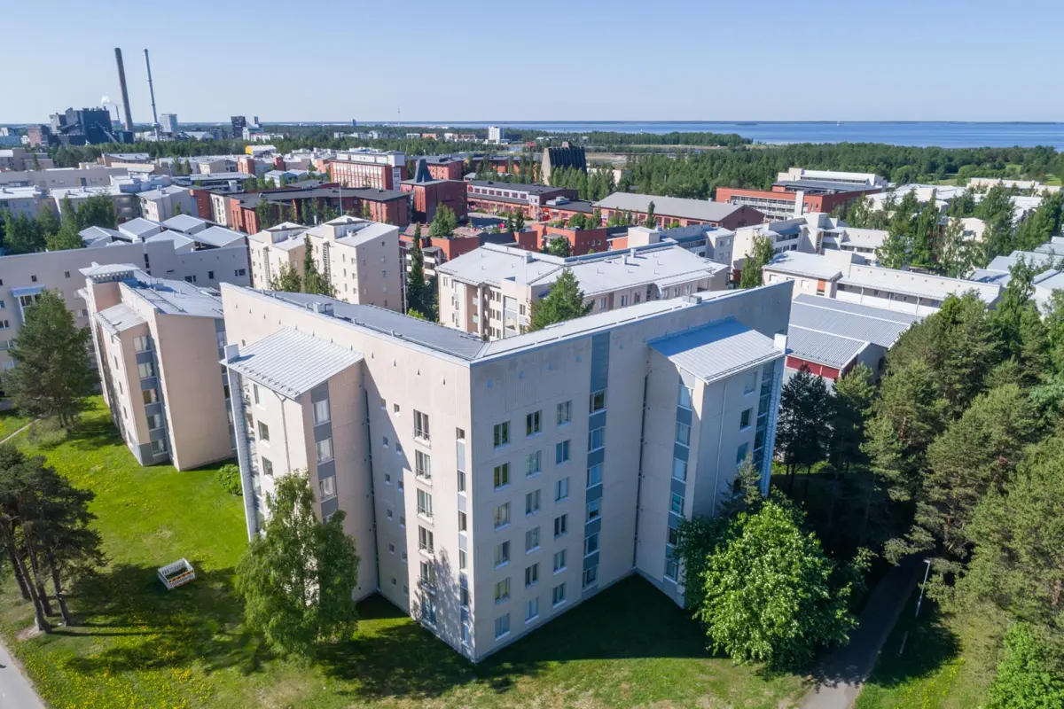 Pohjakuva