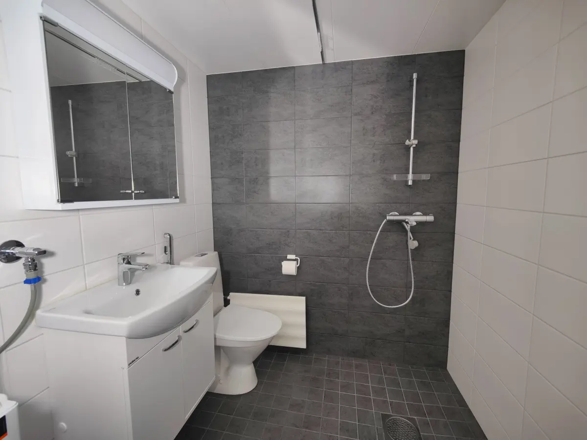 Pohjakuva helsinki/roihuvuori/tulisuontie-5/881-16606