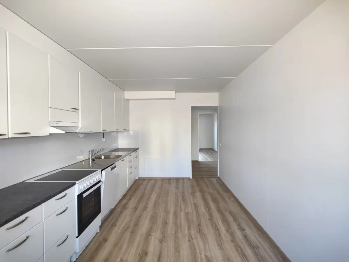 Pohjakuva helsinki/roihuvuori/tulisuontie-5/881-16606