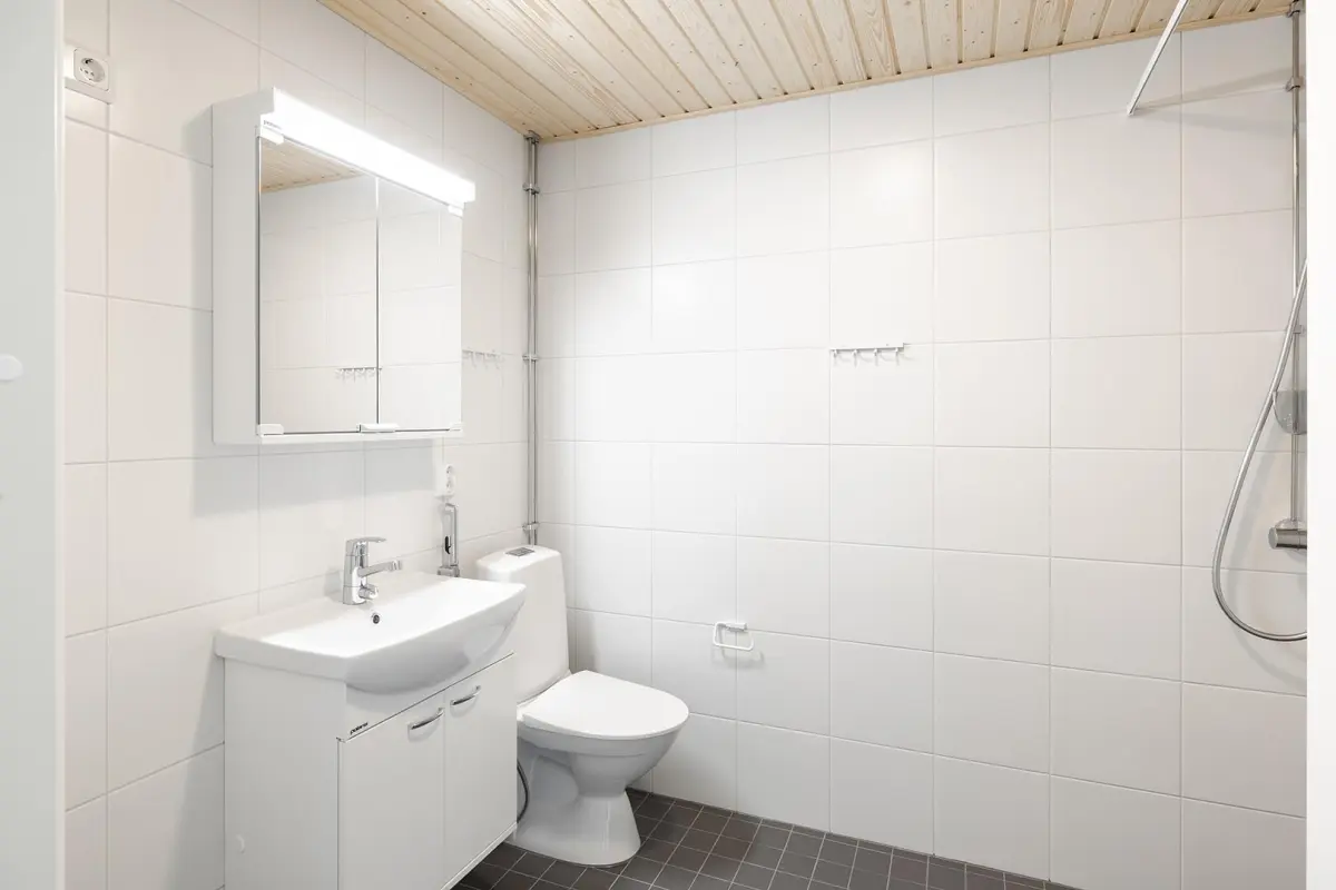 Pohjakuva tampere/hervantajarvi/lyyrapyrsto-2/2715-7732