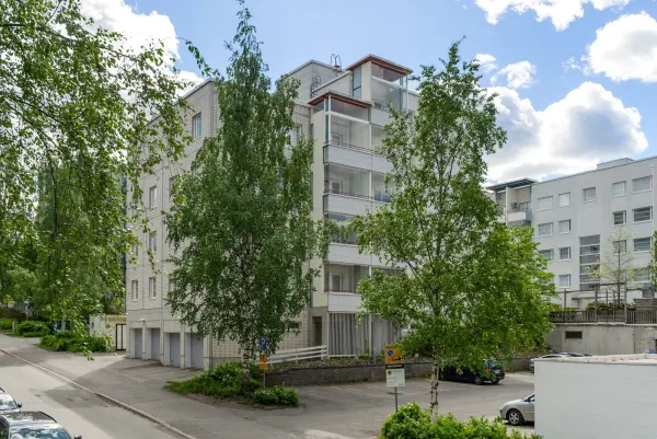 Pohjakuva suuruspaantie-3