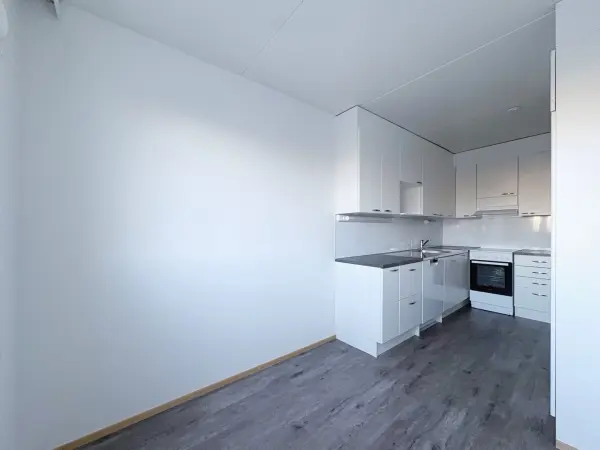 Pohjakuva vantaa/jokiniemi/viljo-sohkasen-katu-4/1226-18274