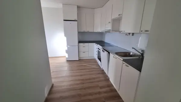 Pohjakuva helsinki/roihuvuori/tulisuontie-5/881-16659