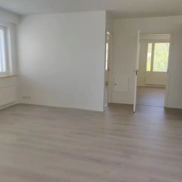 Pohjakuva oulu/kaakkuri/pesatie-4/2463-11553