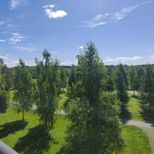 Pohjakuva oulu/kaakkuri/pesatie-4/2463-11553