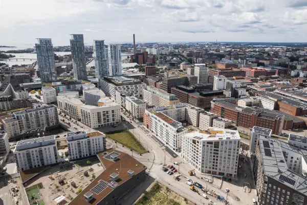 Pohjakuva verkkoneula-5