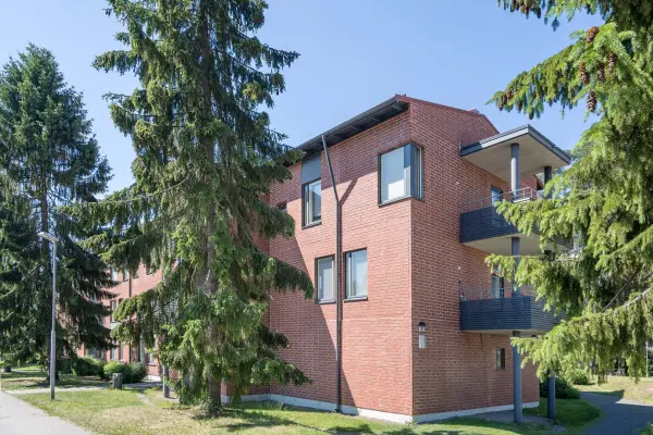 Pohjakuva mannikkotie-5