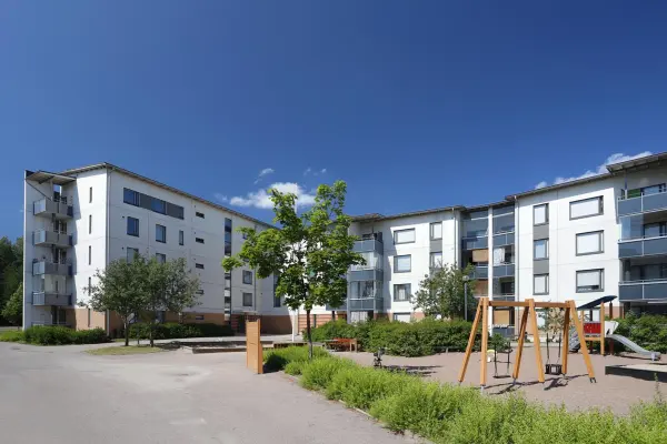 Pohjakuva viidakkopolku-8