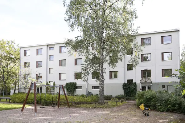 Pohjakuva neulaskuja-5