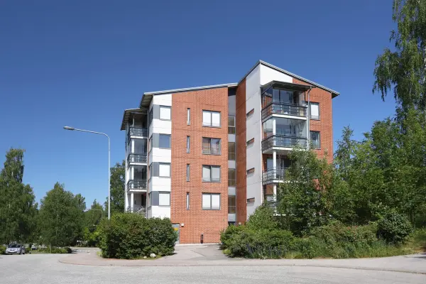 Pohjakuva suitsikuja-6