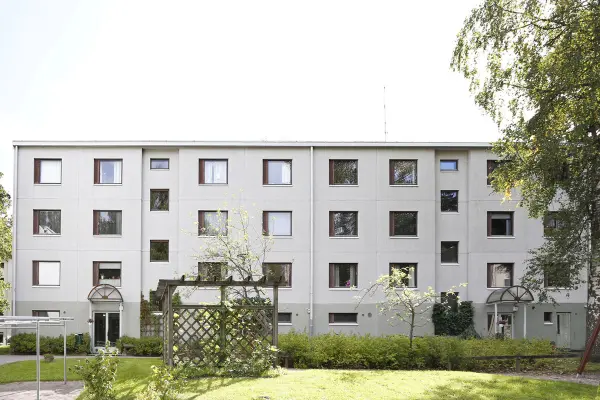 Pohjakuva neulaskuja-5