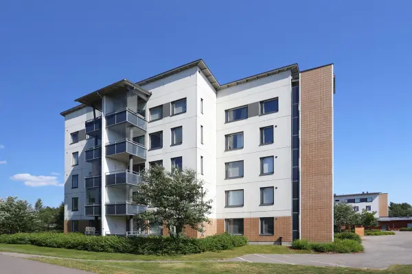 Pohjakuva viidakkopolku-8