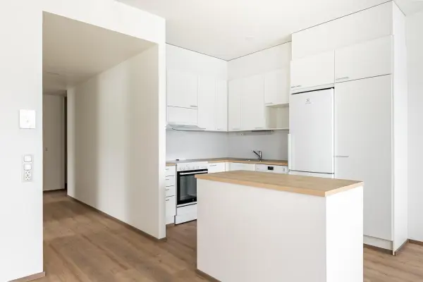 Pohjakuva pirkkala/loukonlahti/lapikaytavankuja-4/2471-7854