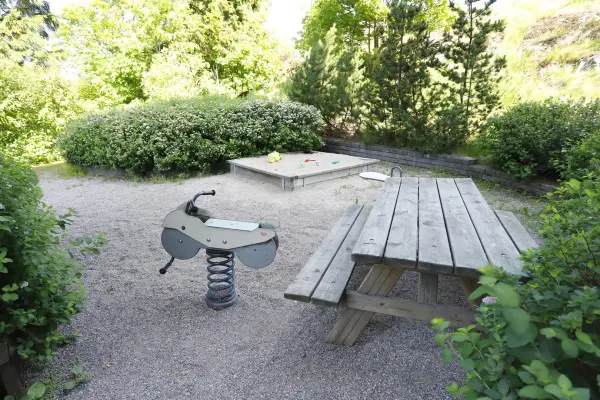 Pohjakuva suitsikuja-6