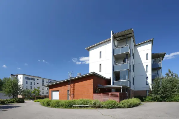 Pohjakuva viidakkopolku-8