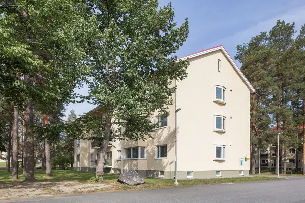 Pohjakuva tienhaarankuja-8