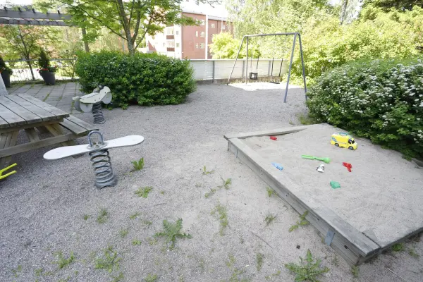 Pohjakuva suitsikuja-6