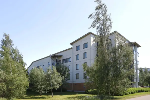 Pohjakuva viidakkopolku-8