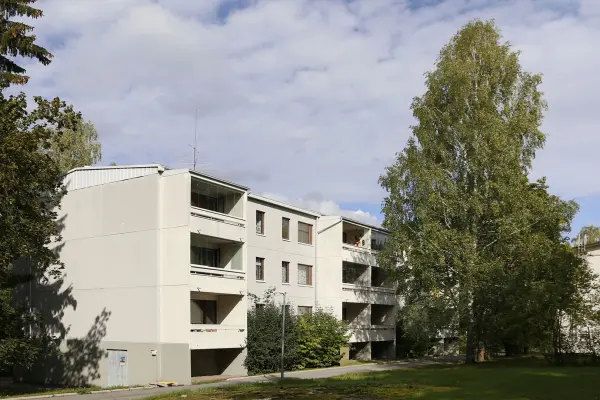 Pohjakuva neulaskuja-5