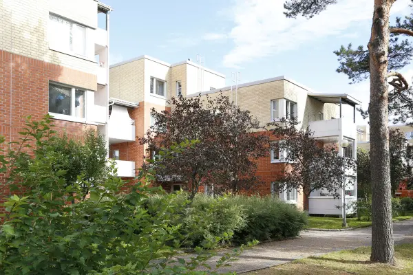 Pohjakuva kirvesmiehentie-3