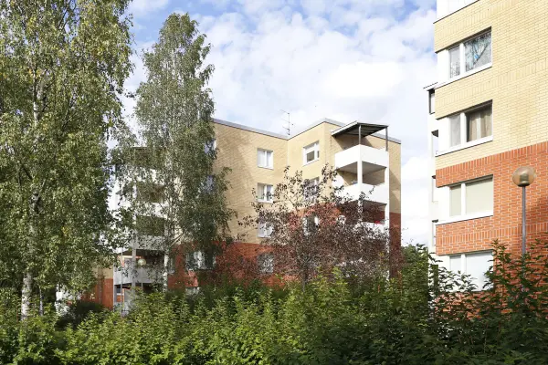 Pohjakuva kirvesmiehentie-3