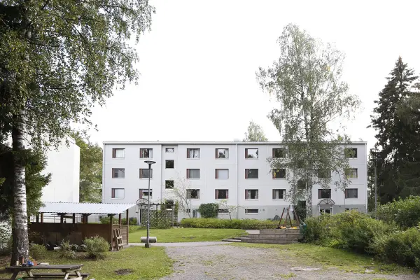 Pohjakuva neulaskuja-5
