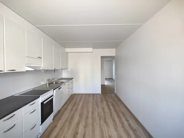 Pohjakuva helsinki/roihuvuori/tulisuontie-5/881-16606