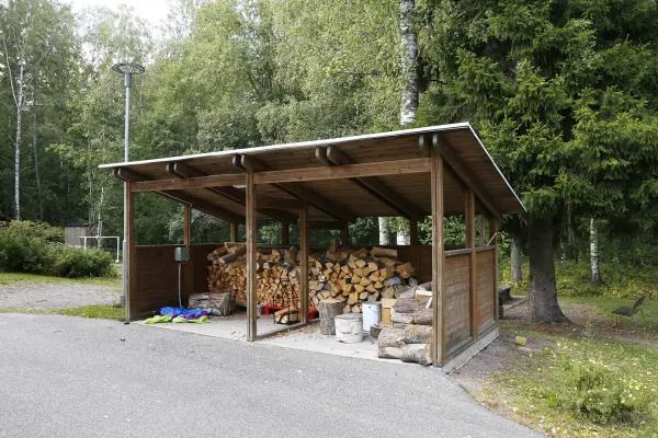 Pohjakuva neulaskuja-5