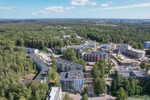 Pohjakuva kotkakuja-1