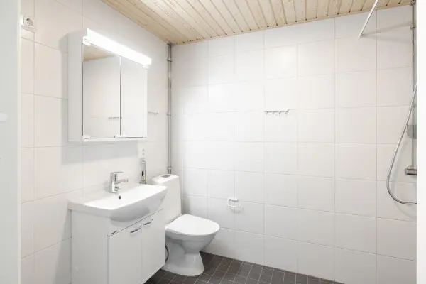 Pohjakuva tampere/hervantajarvi/lyyrapyrsto-2/2715-7785