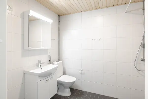 Pohjakuva tampere/hervantajarvi/lyyrapyrsto-2/2715-7732