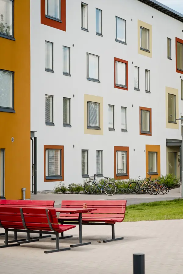 Pohjakuva puunhaltijankuja-1-3