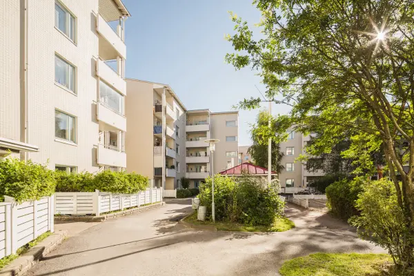 Pohjakuva sellukatu-15