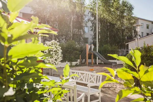 Pohjakuva sellukatu-15