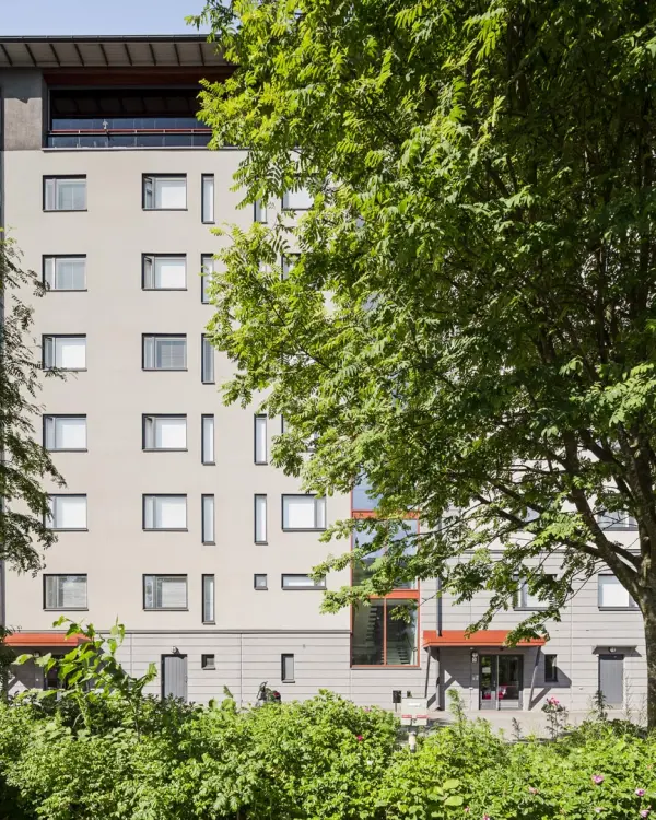 Pohjakuva hippoksentie-31