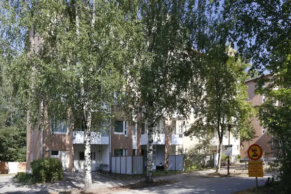 Pohjakuva pahkinamaentie-255
